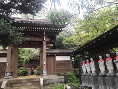 宝泉寺,見どころ,ほし