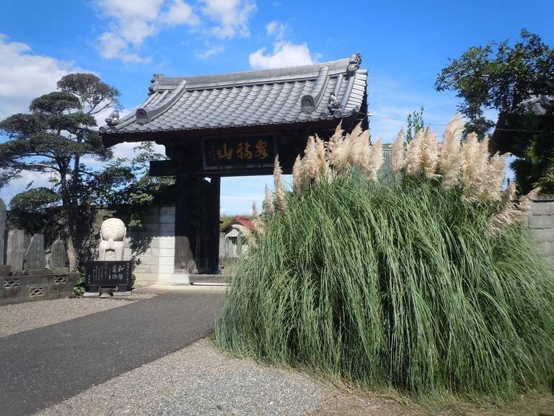 泉福山 瑠璃光院 照岩寺,埼玉県行田市北河原736