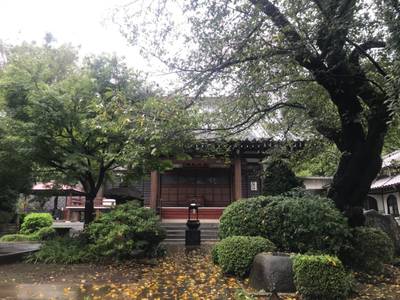 宝泉寺,見どころ,ほし