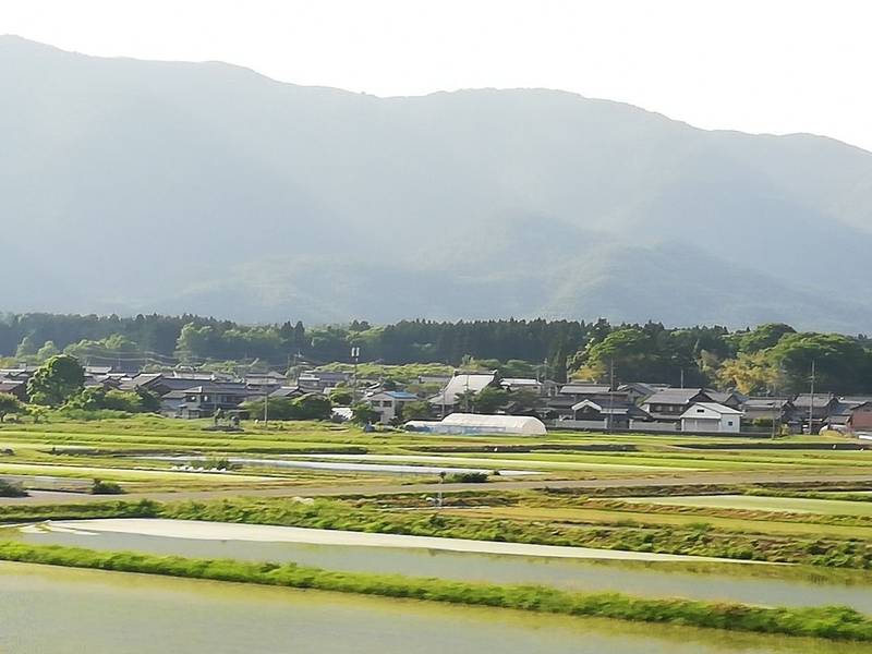 榮敬寺,滋賀県高島市マキノ町蛭口950