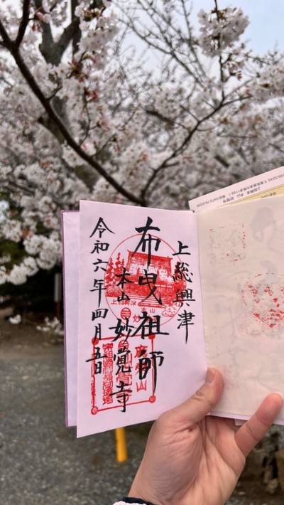 妙覚寺,見どころ,花