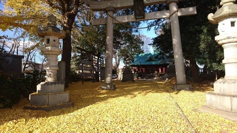 下館羽黒神社,茨城県筑西市甲37