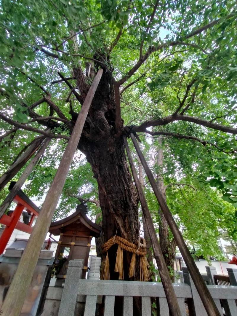 龍王大神,大阪府大阪市北区野崎町８−１