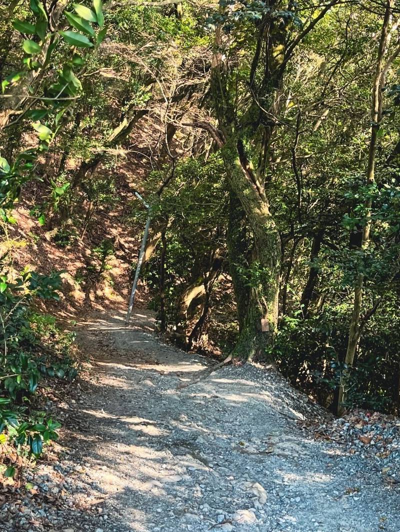 高良山奥宮,福岡県久留米市御井町