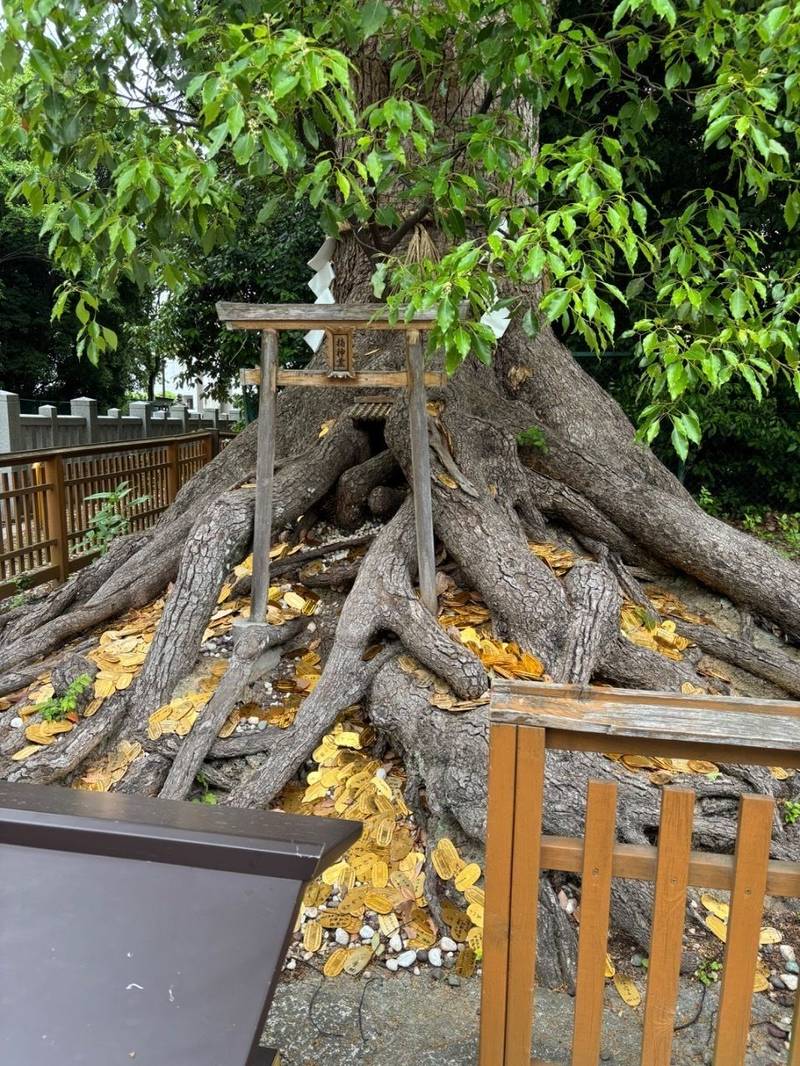 大鳥美波比神社,大阪府堺市西区鳳北町1丁1-2