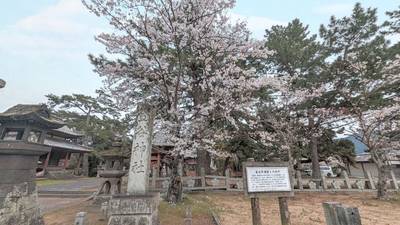金谷神社,見どころ,トーテムポール