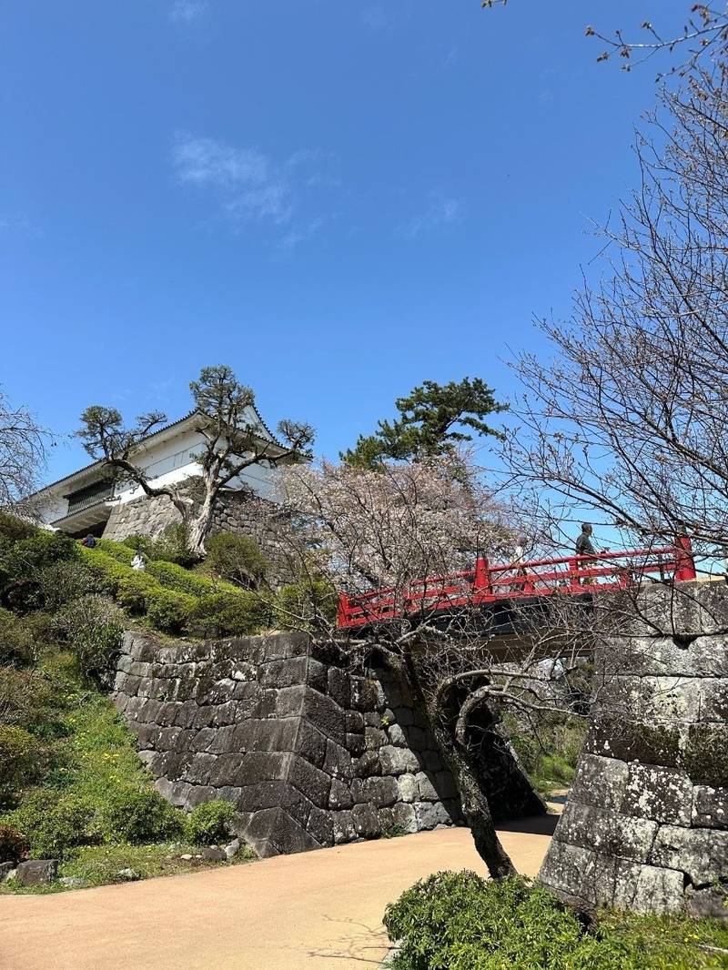 小田原城,神奈川県小田原市城内