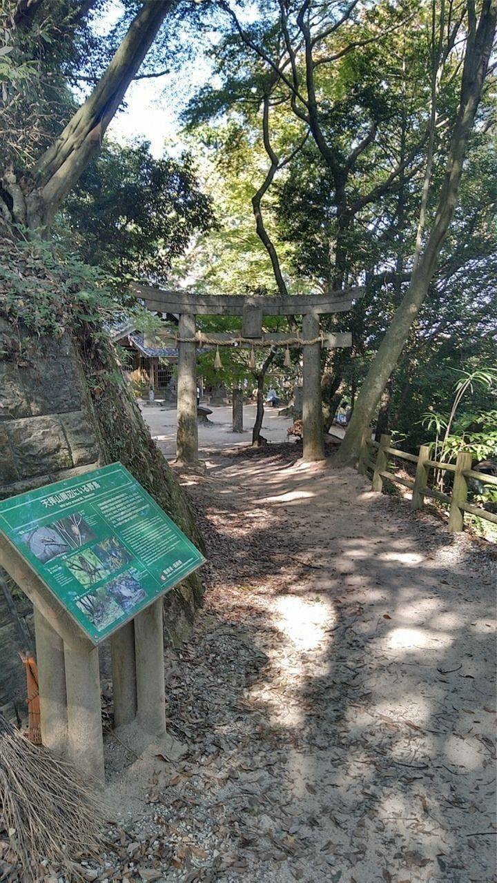 荒穂神社,福岡県筑紫野市武蔵694