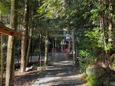 金山神社,見どころ,を神