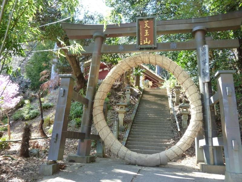 八王寺    (竹寺),埼玉県飯能市大字南704番地