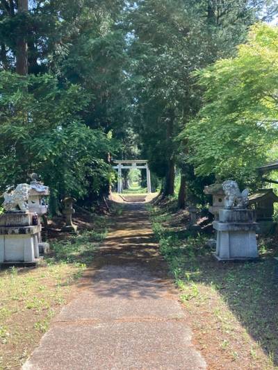 十二所神社    (下金沢),見どころ,waiwai
