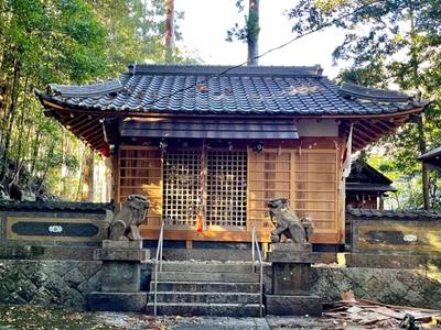 金山神社,見どころ,を神