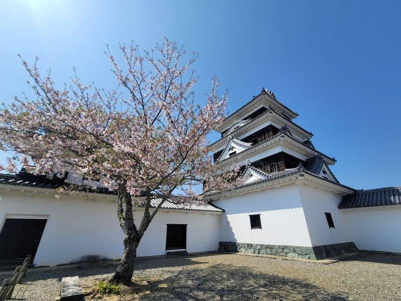 大洲城,愛媛県大洲市大洲903