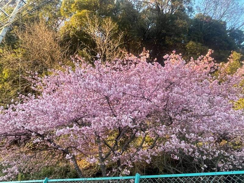 御嶽神社  (廿里町),東京都八王子市廿里町34-4