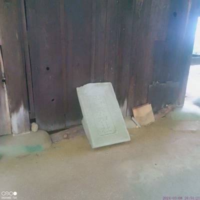 高木神社,見どころ,あまてらす王海守