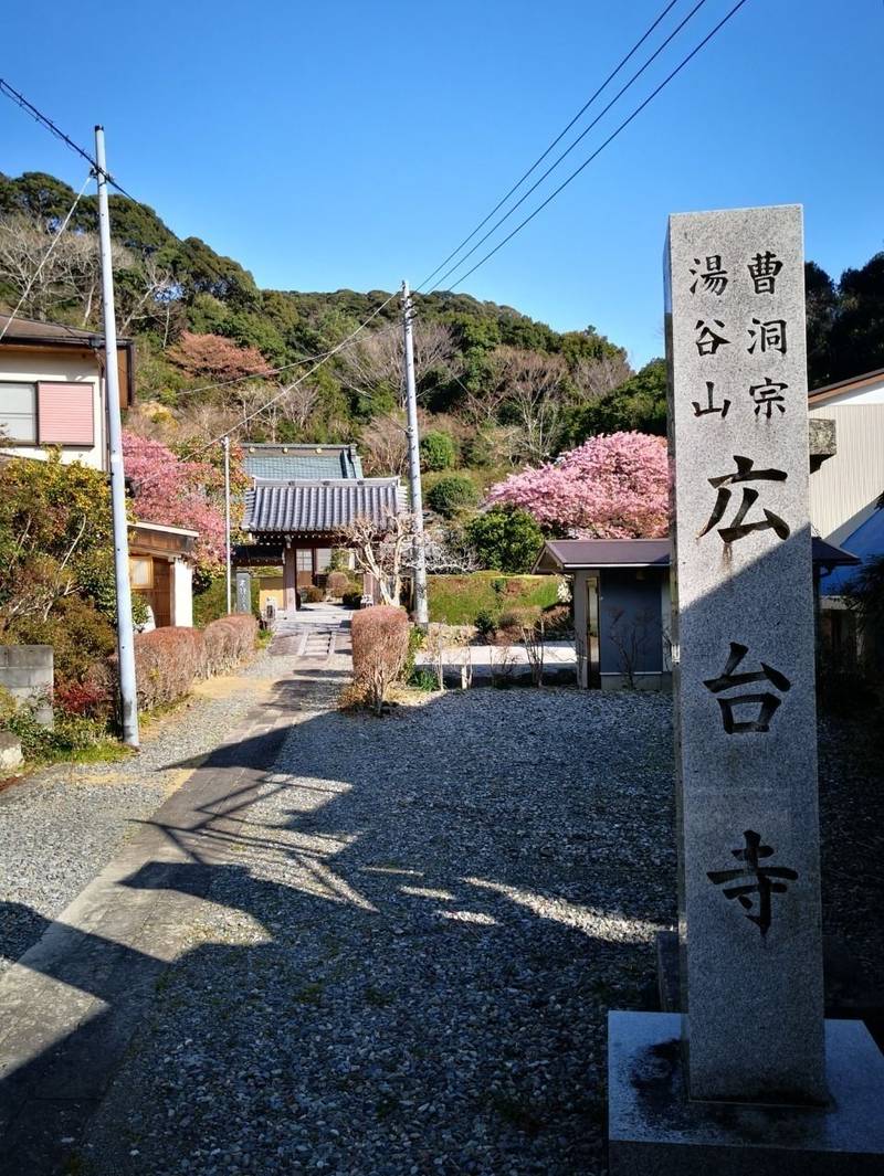 広台寺,静岡県下田市蓮台寺140