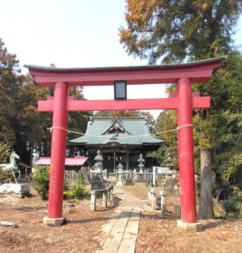 雷電神社 (上三林町),群馬県館林市上三林町1392