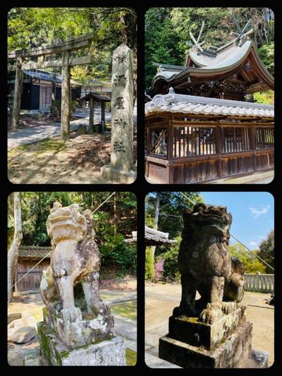 酒屋神社,見どころ,宮清