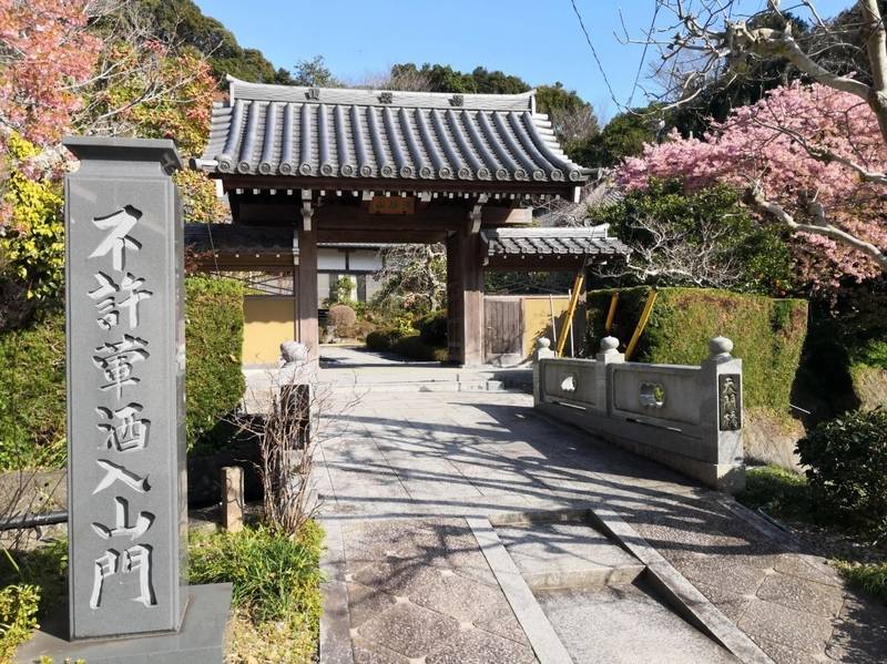 広台寺,静岡県下田市蓮台寺140
