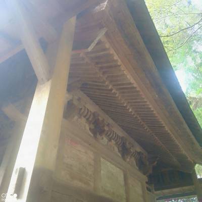 高木神社,見どころ,あまてらす王海守