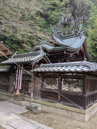酒屋神社,見どころ,コッシー
