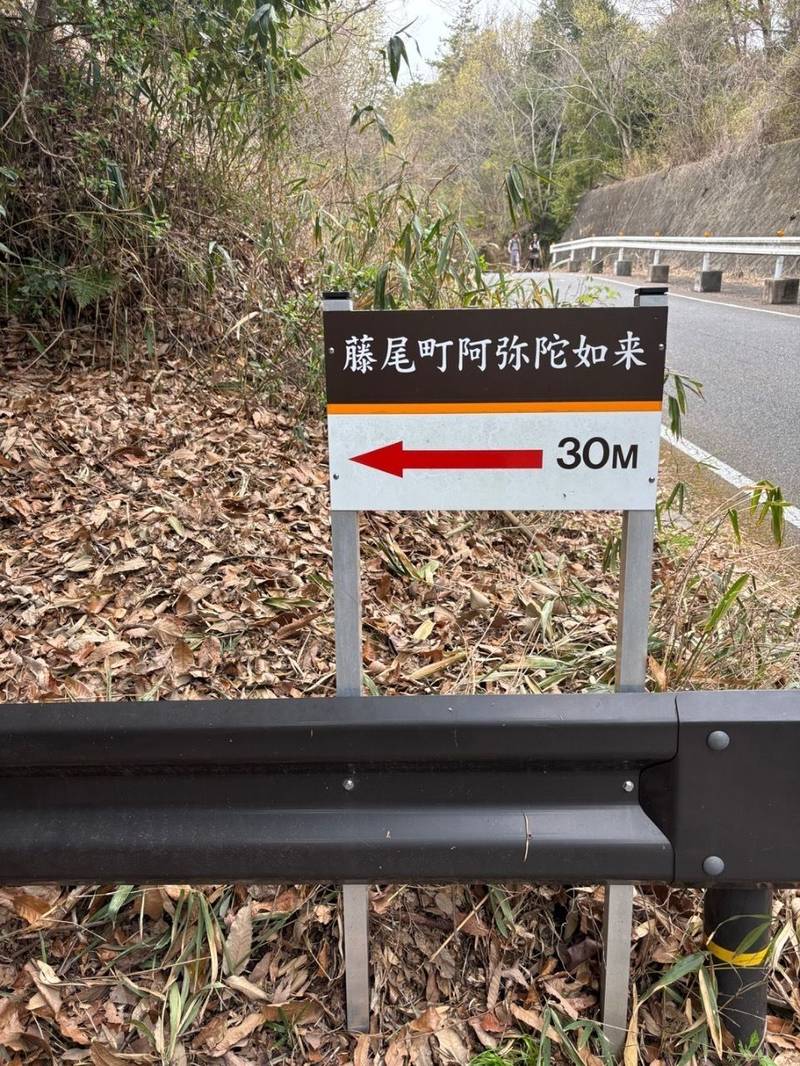 藤尾阿弥陀像,奈良県生駒市藤尾町