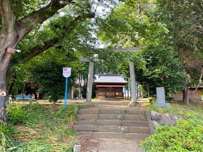 雷電神社,神奈川県伊勢原市串橋264