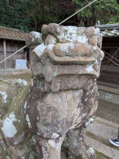 酒屋神社,見どころ,コッシー