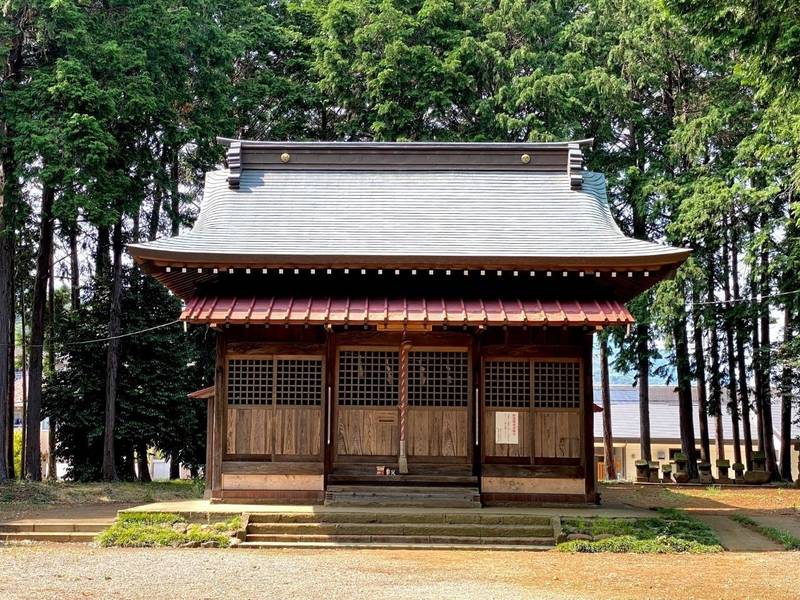 雷電神社,神奈川県伊勢原市串橋264