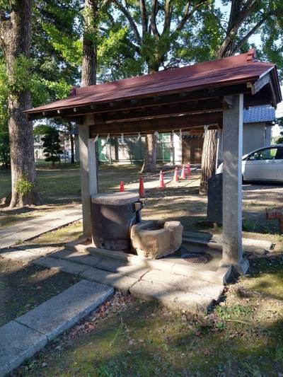 春日神社,見どころ,おうぎ