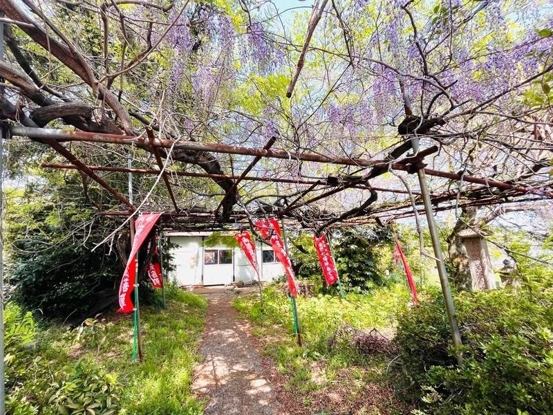 妙蓮寺,大分県由布市狭間町古野144