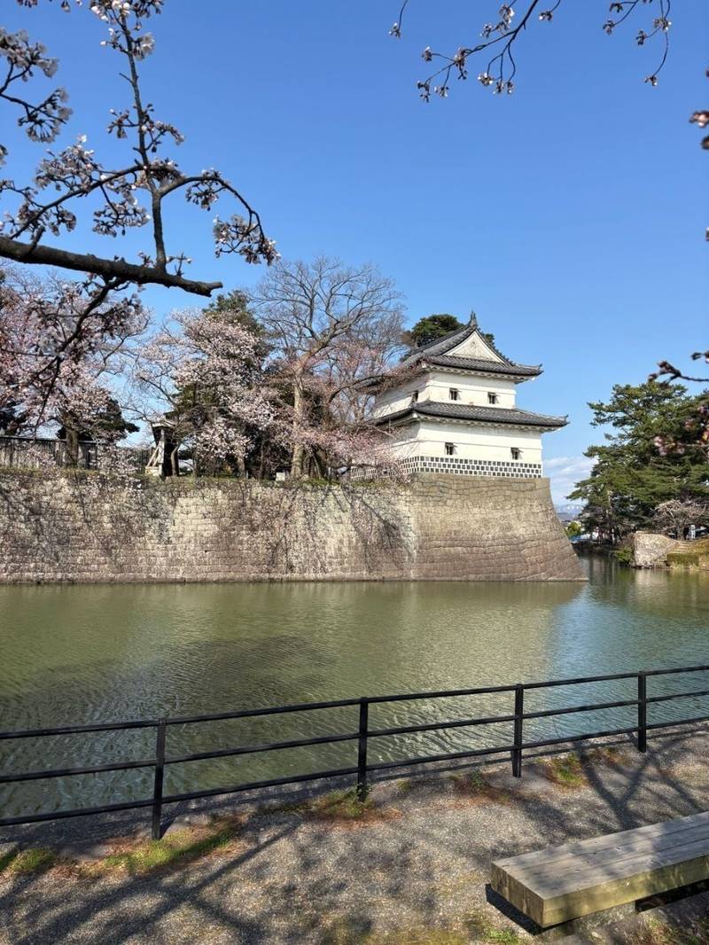 新発田城,新潟県新発田市大手町６丁目４