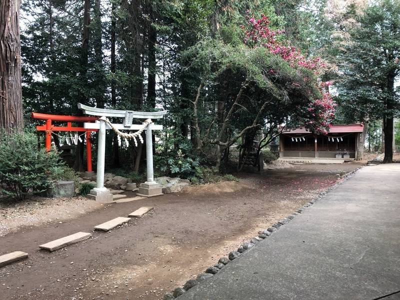 尾崎神社,埼玉県川越市大字笠幡1736-57