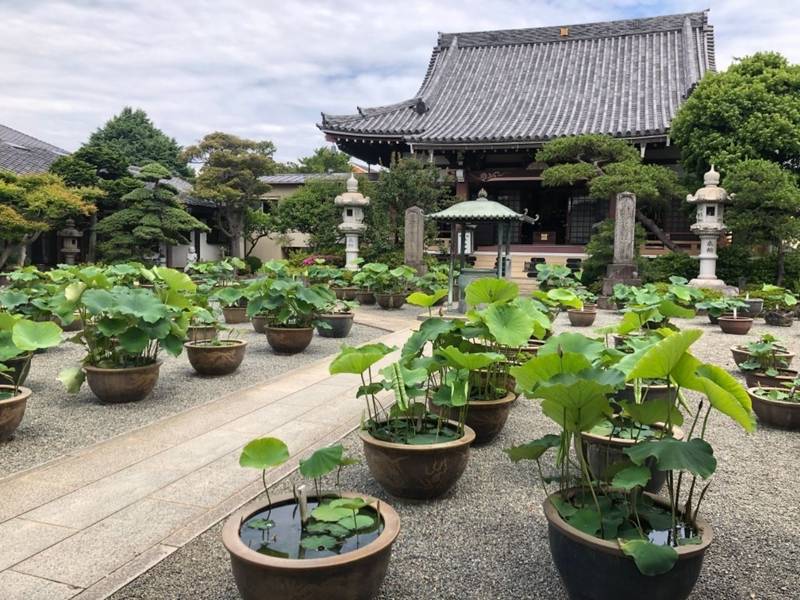 要法寺,神奈川県平塚市平塚4-10-10