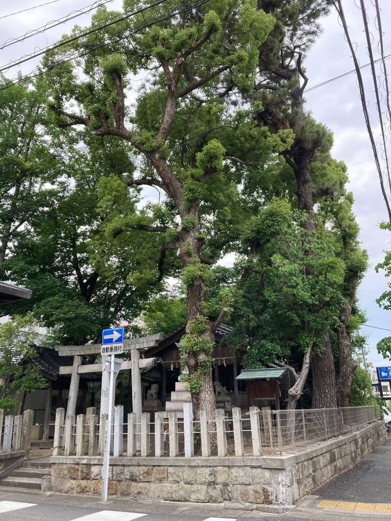 八幡神社 (池端八幡神社),愛知県名古屋市昭和区池端町1-18-3