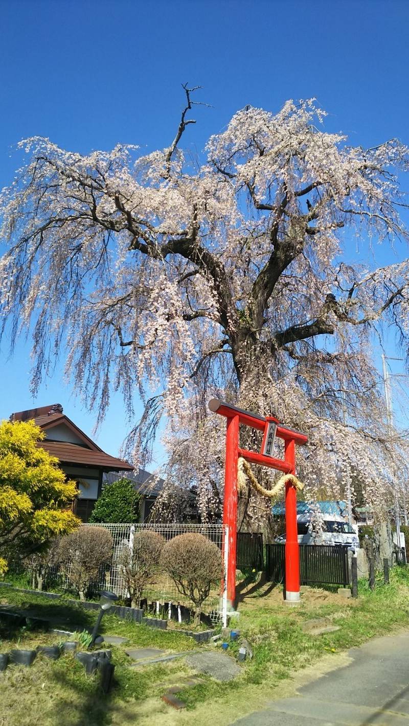 下市毛八坂神社,茨城県笠間市下市毛712