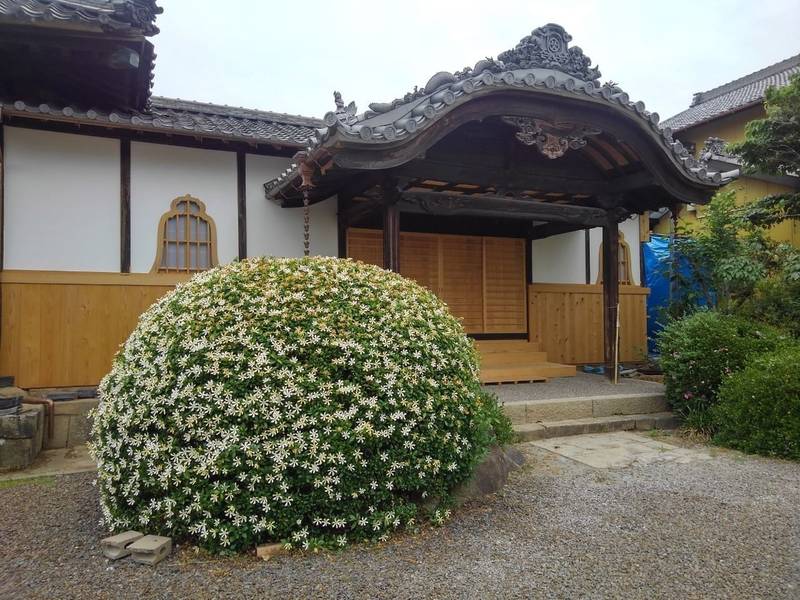 善立寺 岡崎市 愛知県 Omairi おまいり 善立寺 岡崎市 愛知県 Omairi おまいり