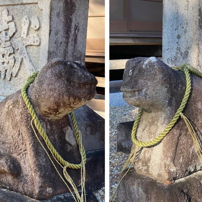 茶玉神社,愛知県岡崎市井沢町大東15-1