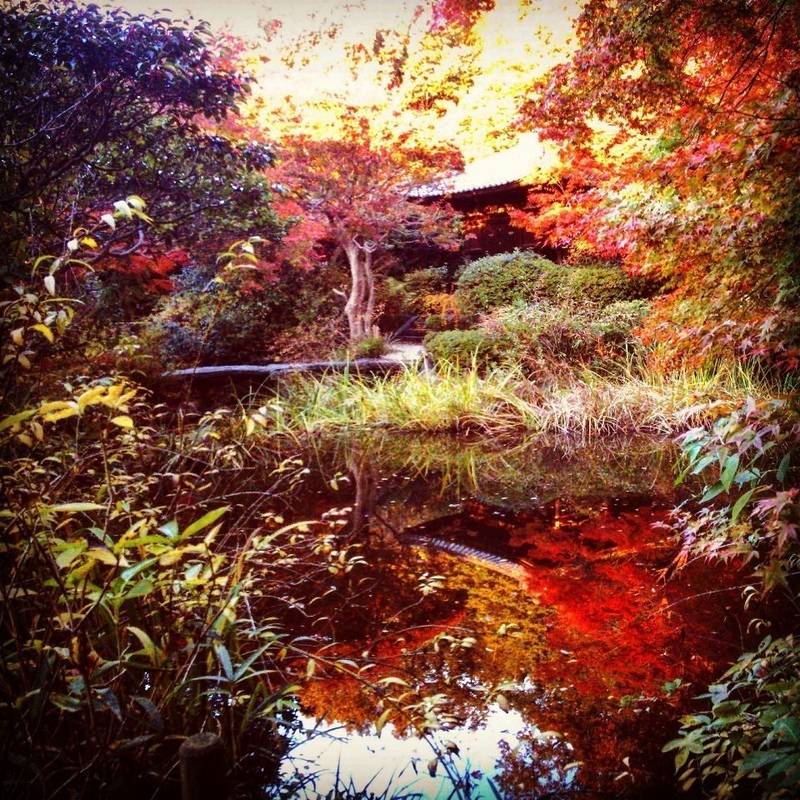 不退寺 奈良市 奈良県 Omairi おまいり