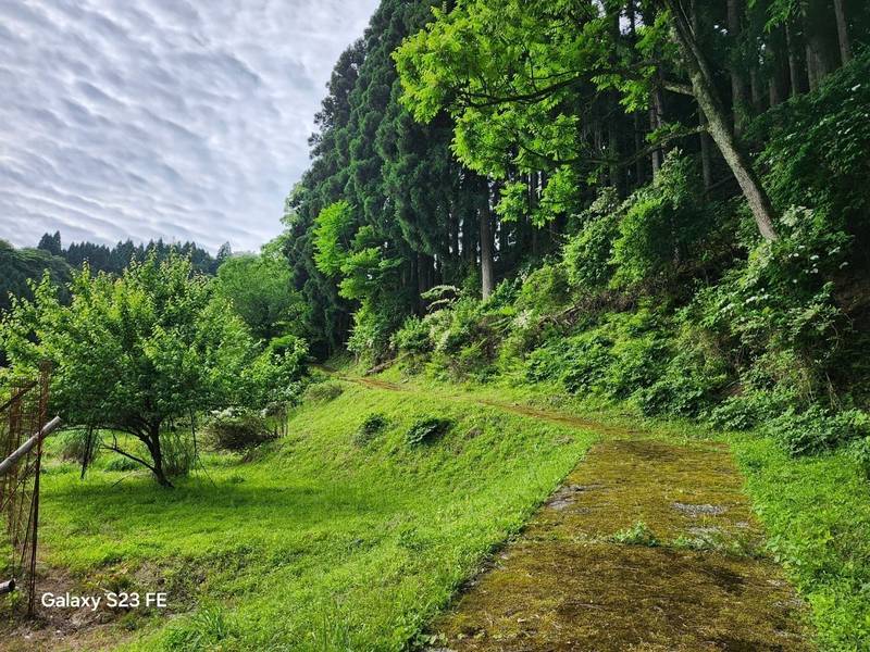 賀茂地神社,鳥取県鳥取市佐治町加茂1505