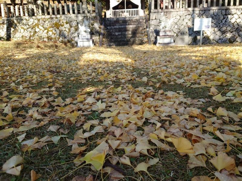 御勝八幡宮,京都府福知山市上野条２４３