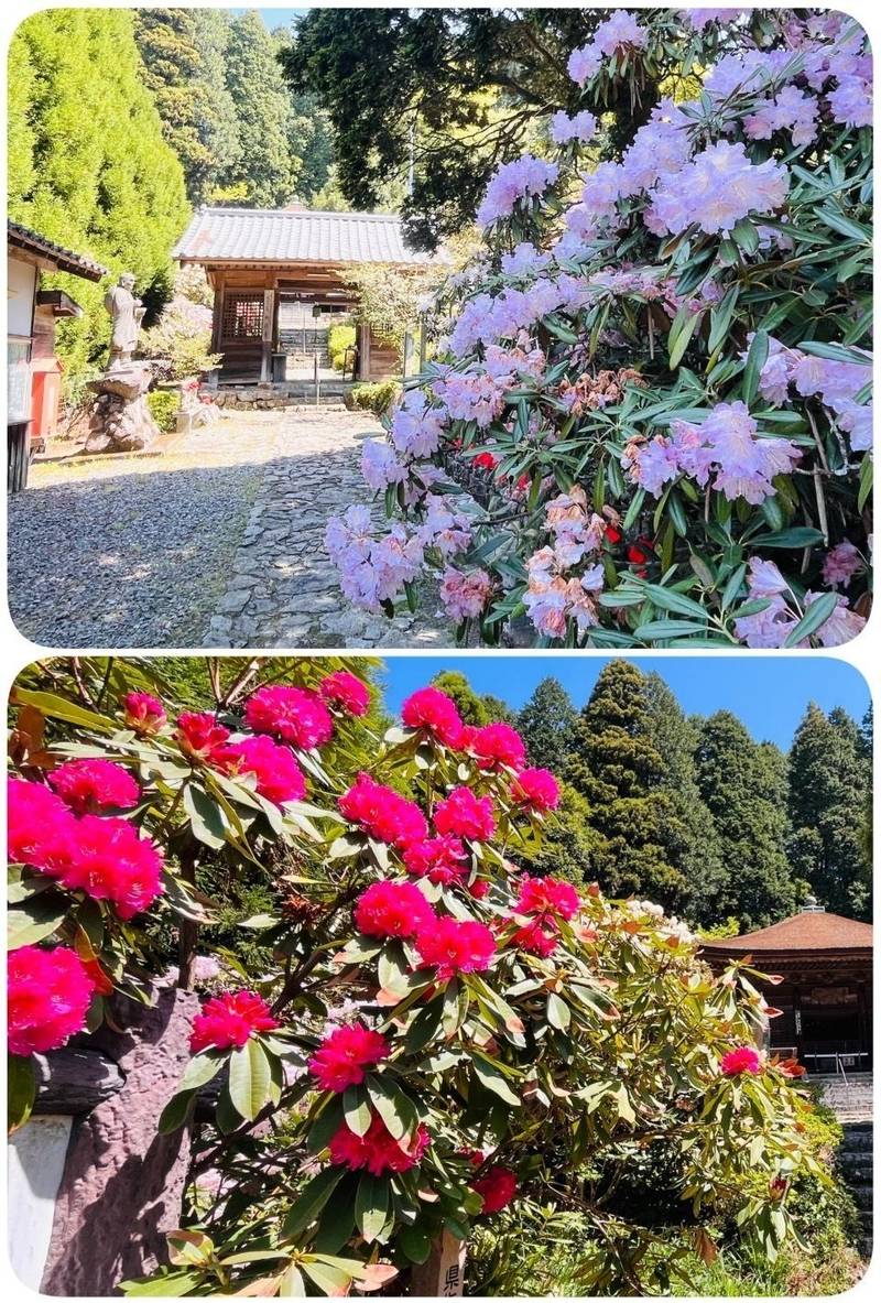 神角寺,大分県豊後大野市朝地町鳥田1354