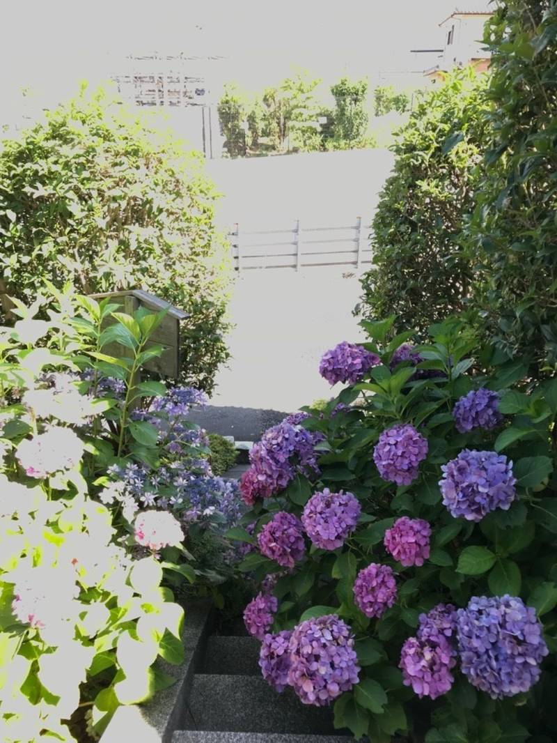 社宮司社,神奈川県横浜市都筑区茅ケ崎中央58