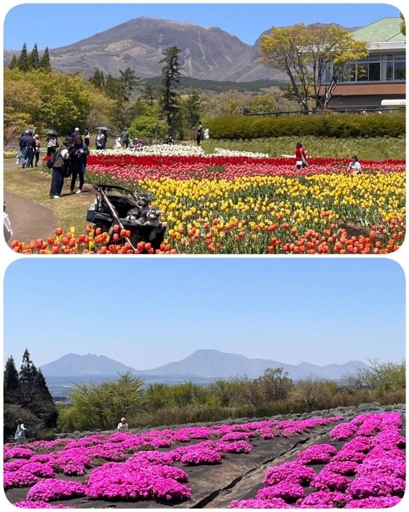神角寺,大分県豊後大野市朝地町鳥田1354