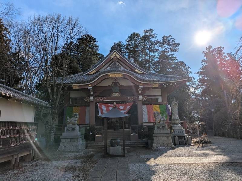 子ノ権現天龍寺,埼玉県飯能市大字南461