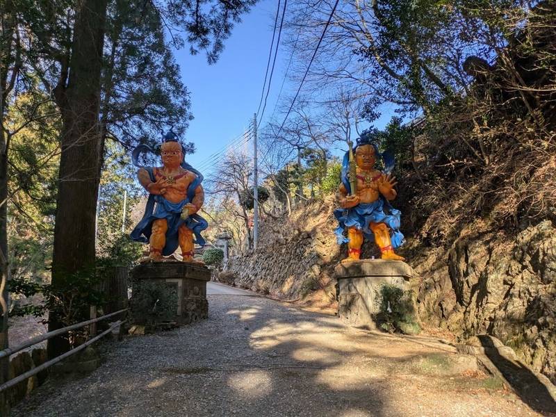 子ノ権現天龍寺,埼玉県飯能市大字南461
