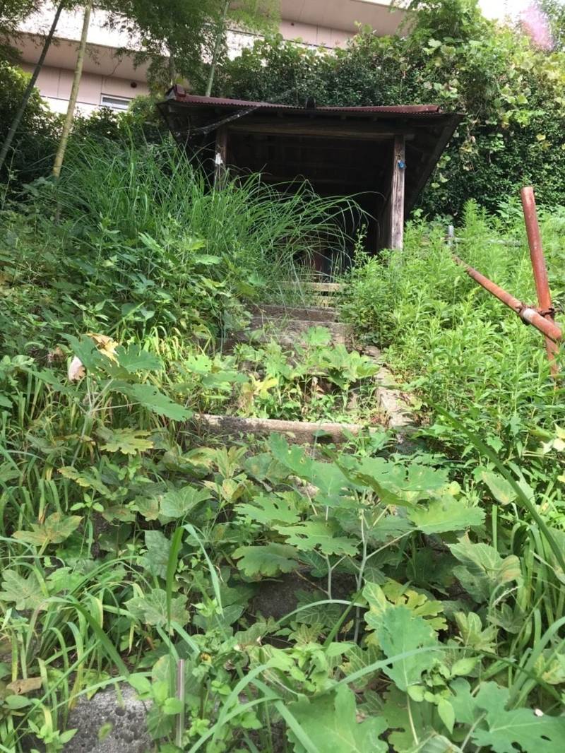 稲荷社    (北八朔町1793)の見どころ