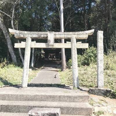 弓削熊野神社,見どころ,Y.Shiraga