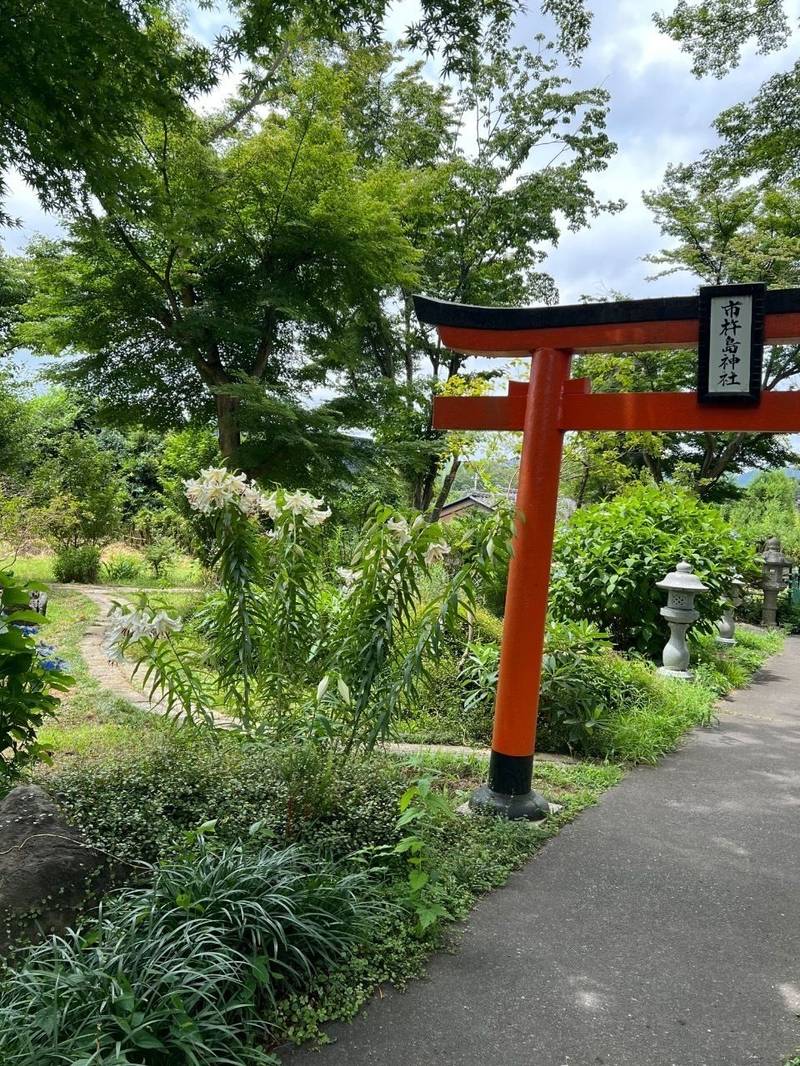 安良川八幡宮   (高萩八幡宮),茨城県高萩市安良川1180