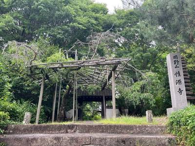 性源寺,見どころ,メギピッピ